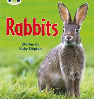 Cover image for 9780433019572 - Bug Club Phonics - Phase 5 Unit 27: Rabbits