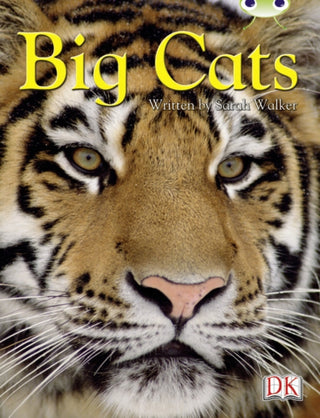Cover image for 9780435075835 - Bug Club Independent Non Fiction Year 3 Brown B Big Cats