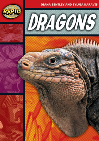 Cover image for 9780435907976 - Rapid Reading: Dragons (Stage 2, Level 2B)