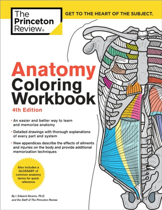 Cover image for 9780451487872 - Anatomy Coloring Workbook, 4th Edition