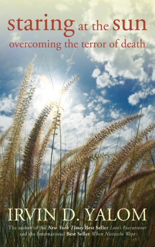 Cover image for 9780470401811 - Staring at the Sun
