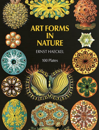 Cover image for 9780486229874 - Art Forms in Nature