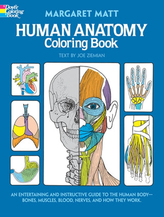 Cover image for 9780486241388 - Human Anatomy