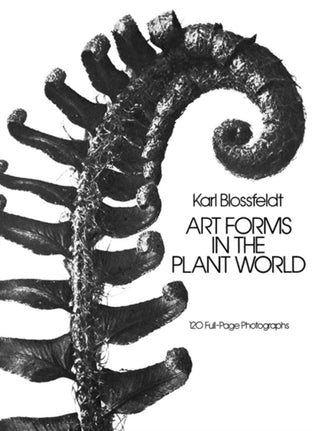 Cover image for 9780486249902 - Art Forms in the Plant World
