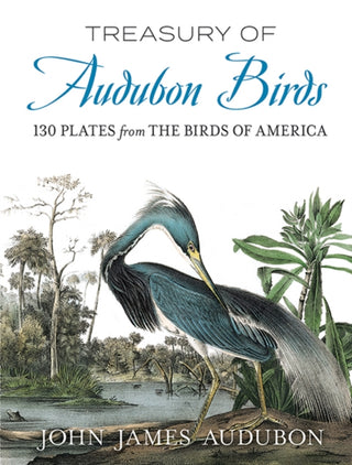 Cover image for 9780486841793 - Treasury of Audubon Birds