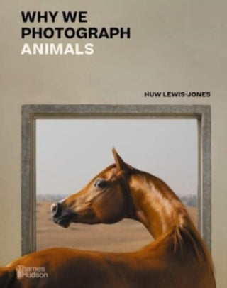 Cover image for 9780500022726 - Why We Photograph Animals