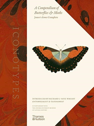 Cover image for 9780500024324 - Iconotypes