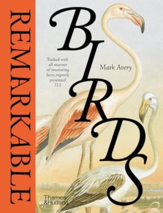 Cover image for 9780500027196 - Remarkable Birds