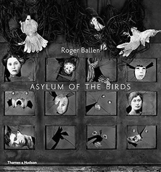 Cover image for 9780500294864 - Asylum of the Birds