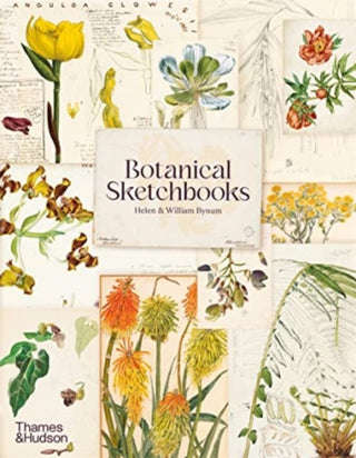 Cover image for 9780500297186 - Botanical Sketchbooks