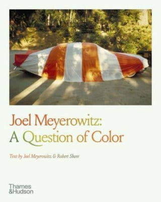 Cover image for 9780500297896 - Joel Meyerowitz