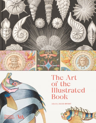 Cover image for 9780500480694 - The Art of the Illustrated Book