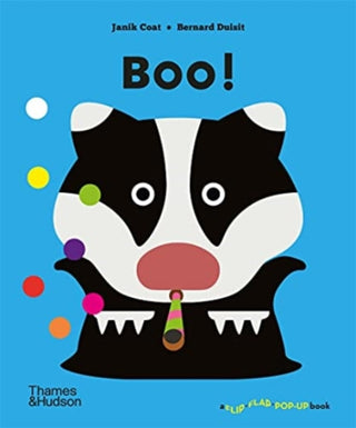 Cover image for 9780500652770 - Boo!