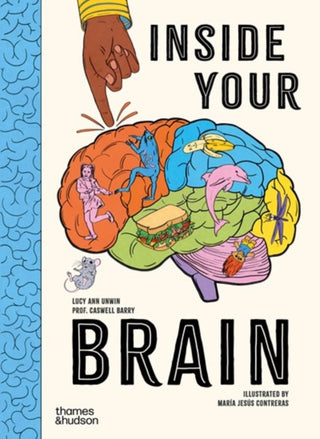 Supplemental image for 9780500653807 - Inside Your Brain