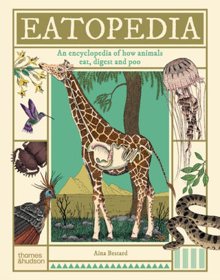 Cover image for 9780500653869 - Eatopedia