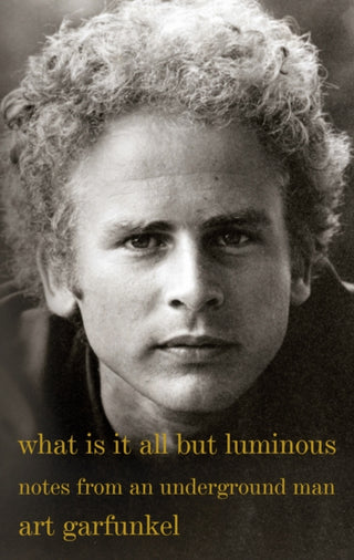 Cover image for 9780525564393 - What Is It All but Luminous
