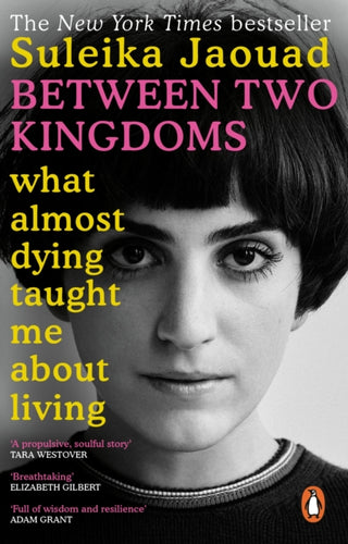 Cover image for 9780552173124 - Between Two Kingdoms