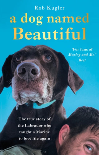 Cover image for 9780552174770 - A Dog Named Beautiful