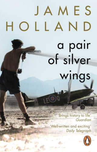 Cover image for 9780552176743 - A Pair of Silver Wings