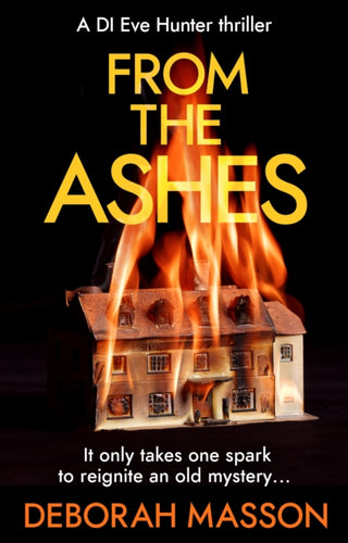 Cover image for 9780552178259 - From the Ashes