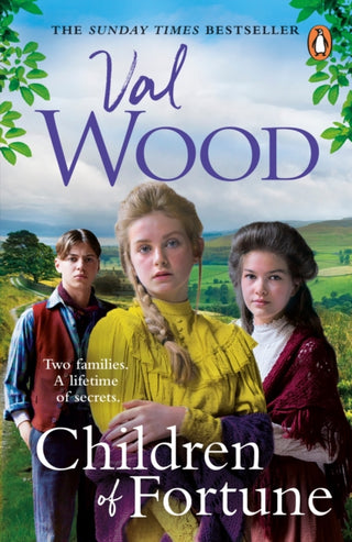 Cover image for 9780552178914 - Children of Fortune