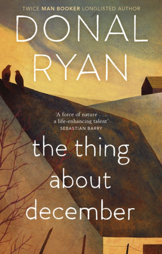 Cover image for 9780552773577 - The Thing About December