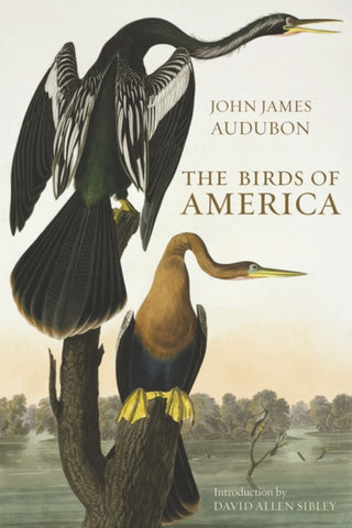 Cover image for 9780565093396 - The Birds of America