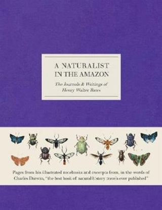 Cover image for 9780565094621 - A Naturalist in the Amazon