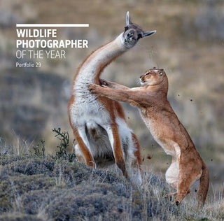 Cover image for 9780565094867 - Wildlife Photographer of the Year: Portfolio 29