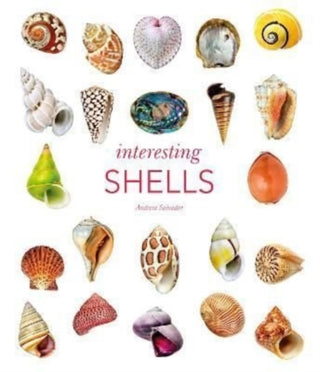 Cover image for 9780565095109 - Interesting Shells