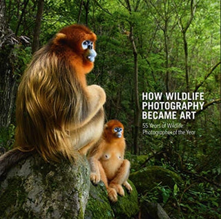 Cover image for 9780565095130 - How Wildlife Photography Became Art