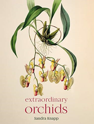 Cover image for 9780565095147 - Extraordinary Orchids