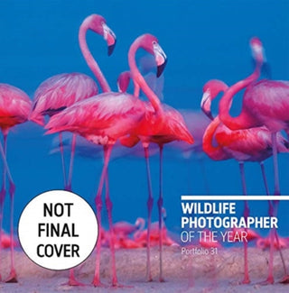 Cover image for 9780565095208 - Wildlife Photographer of the Year