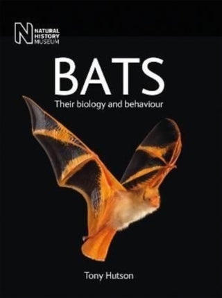 Cover image for 9780565095284 - Bats