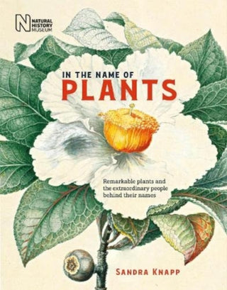 Cover image for 9780565095352 - In the Name of Plants