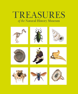 Cover image for 9780565095482 - Treasures of the Natural History Museum