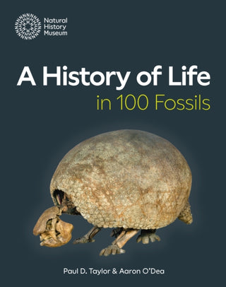 Cover image for 9780565095499 - A History of Life in 100 Fossils