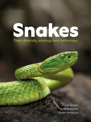 Cover image for 9780565095505 - Snakes