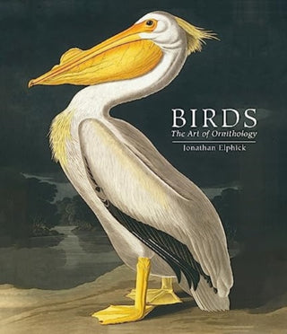 Cover image for 9780565095512 - Birds