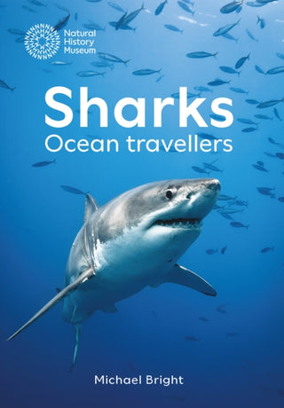 Cover image for 9780565095543 - Sharks