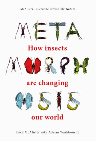 Cover image for 9780565095567 - Metamorphosis