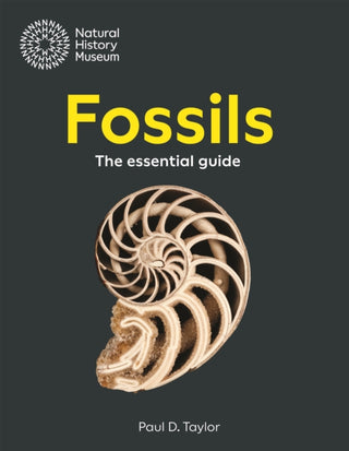Cover image for 9780565095635 - Fossils