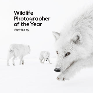 Cover image for 9780565095727 - Portfolio