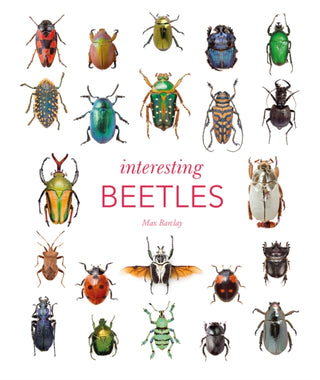 Cover image for 9780565095741 - Interesting Beetles