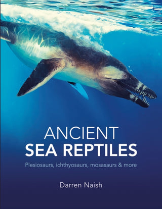 Cover image for 9780565095765 - Ancient Sea Reptiles