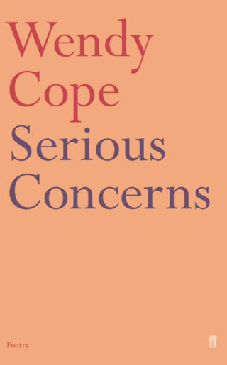 Supplemental image for 9780571167050 - Serious Concerns