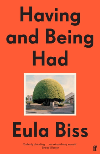 Cover image for 9780571346431 - Having and Being Had