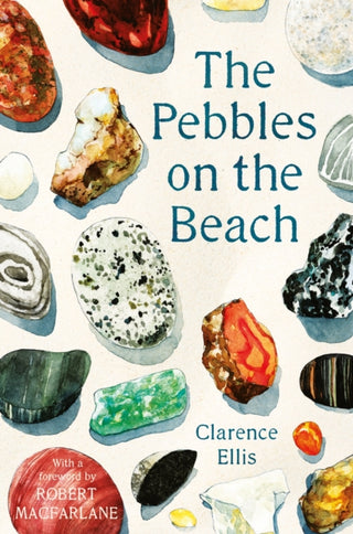 Cover image for 9780571347933 - The Pebbles on the Beach