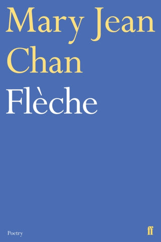 Cover image for 9780571348046 - Fleche