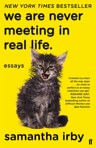 Cover image for 9780571349814 - We Are Never Meeting in Real Life